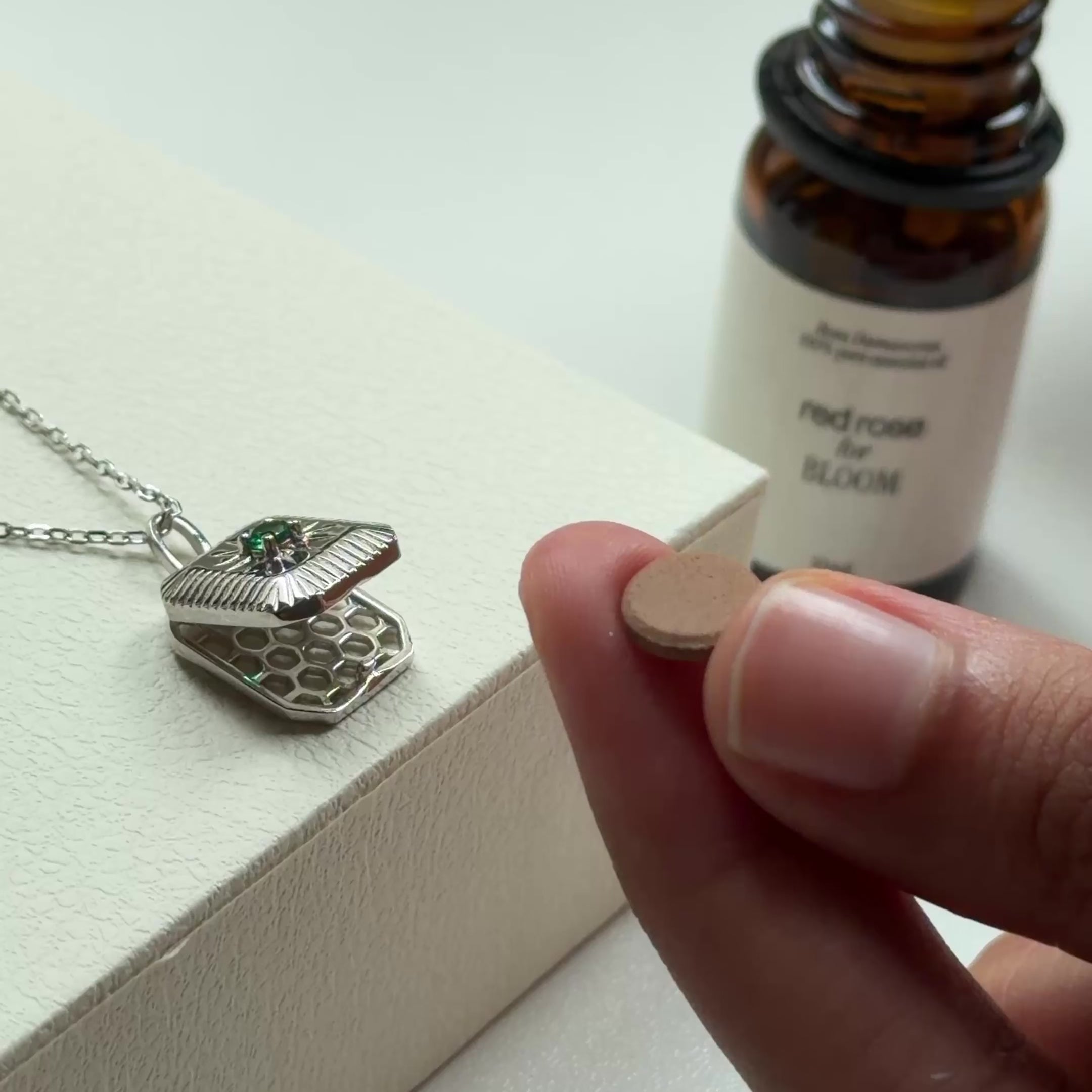 The North Star Necklace